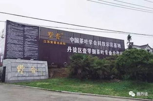 丹徒找準(zhǔn) 發(fā)力點(diǎn) 做強(qiáng)茶產(chǎn)業(yè)