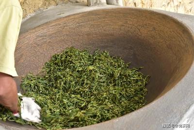 精加工與初加工的普洱茶差別在哪里?很多茶發(fā)貨晚,原因在這里