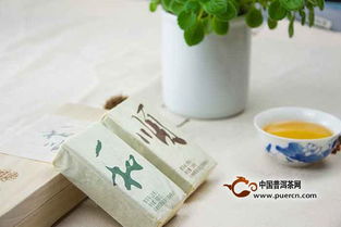 柏聯九月茶單新鮮出爐,總有一款,適合你的茶癮