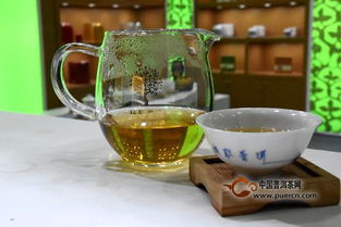第十五屆中國普洱茶節開幕,各茶企齊聚普洱