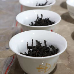 2019武夷巖茶優(yōu)質(zhì)商品茶評比大賽烽煙再起，昌聯(lián)茶葉邀您共赴好茶倉品茗盛會
